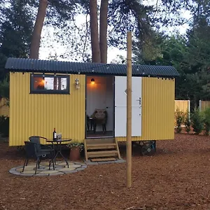 forest-heath-shepherds-hut.bournemouth-hotels.org/